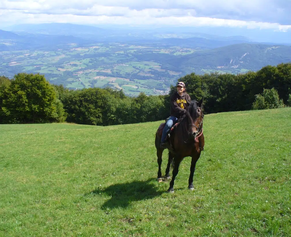 DEPUIS 2006, LE CHEVAL EST AU CŒUR DES ÉCURIES DE BOTILLY ! DEPUIS 2006, LE CHEVAL EST AU CŒUR DES ÉCURIES DE BOTILLY !