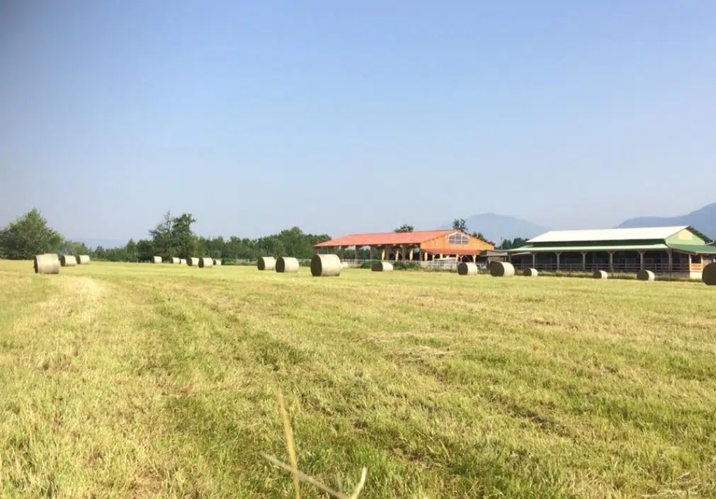 Les Écuries de Botilly, une exploitation agricole pour équidés Les Écuries de Botilly, une exploitation agricole pour équidés