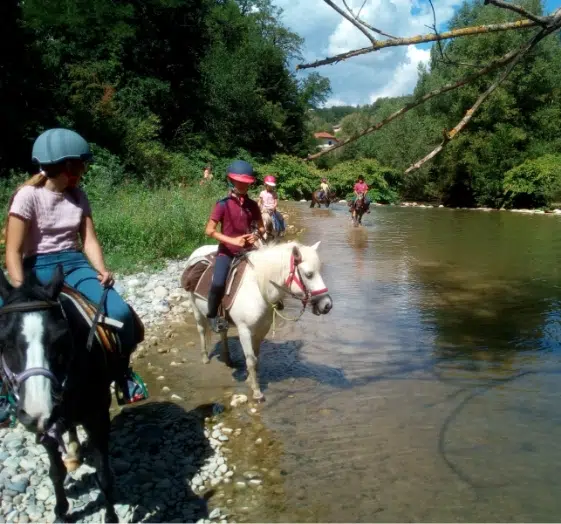 Balades et randonnées aux Écuries de Botilly Balades et randonnées aux Écuries de Botilly