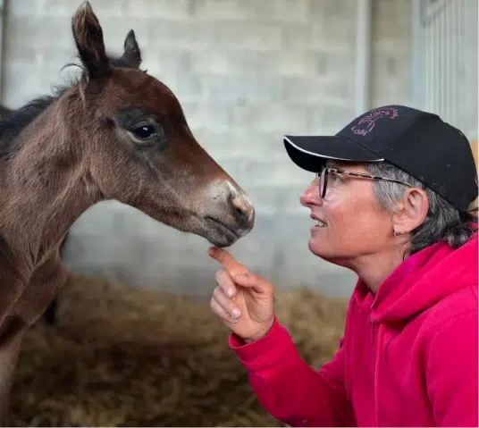 Ecuries de Botilly, le cheval : le coeur de notre pratique Ecuries de Botilly, le cheval : le coeur de notre pratique