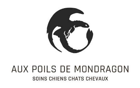 Aux poils de mon dragon