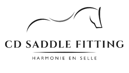 CD Saddle